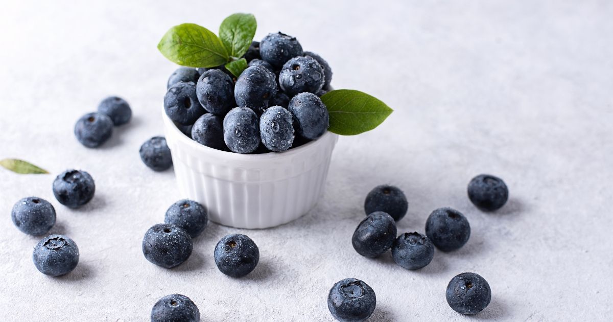 Bowl of Blueberries