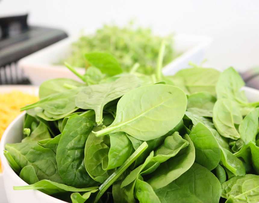 Bowl of fresh spinach