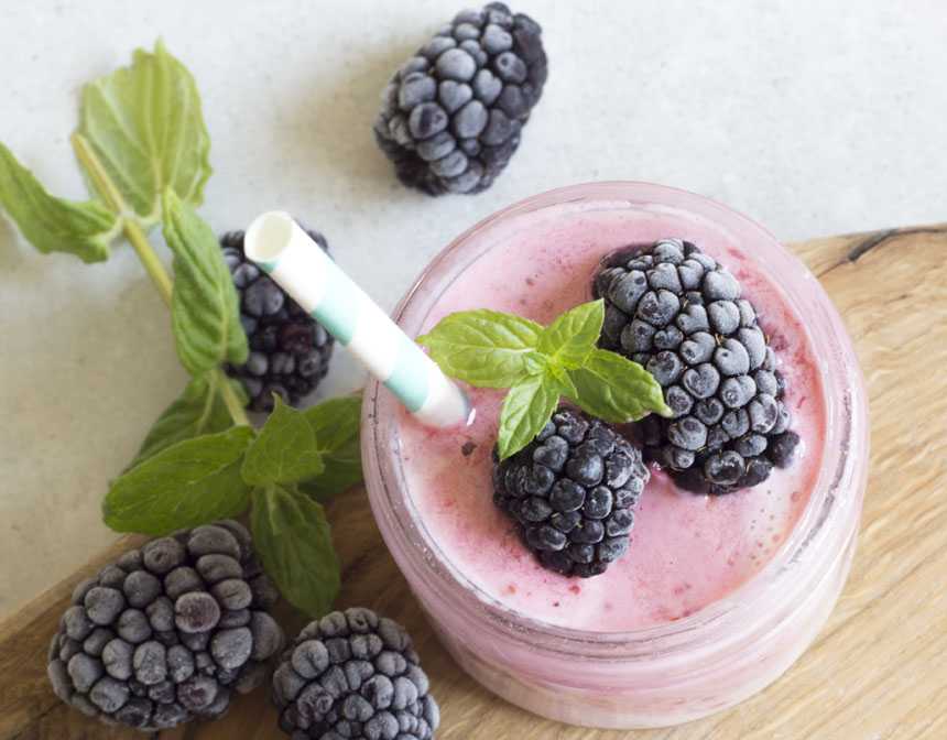 close up blackberries yogurt