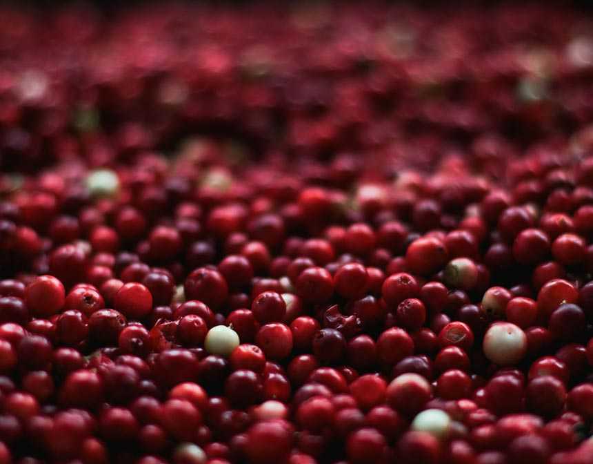 Cranberries