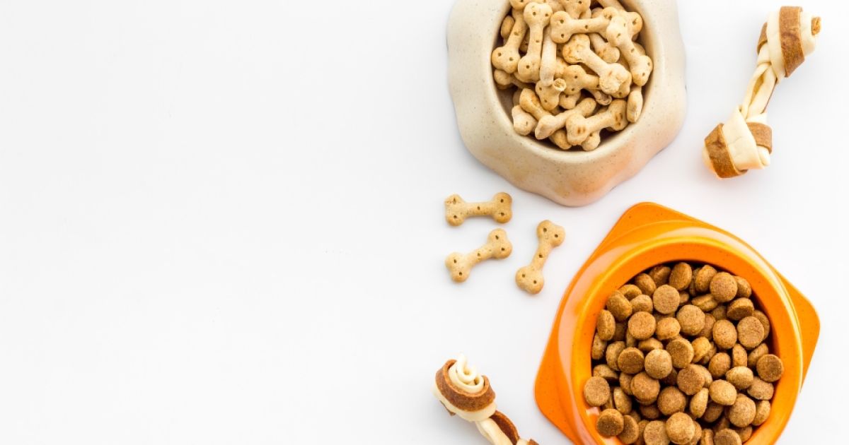 Dog Treats