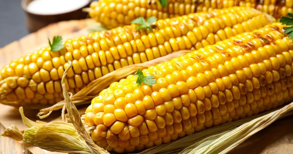 Fried Corn on the Cob