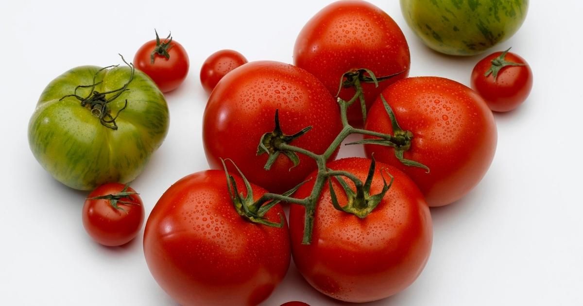 Green and Red Tomatoes