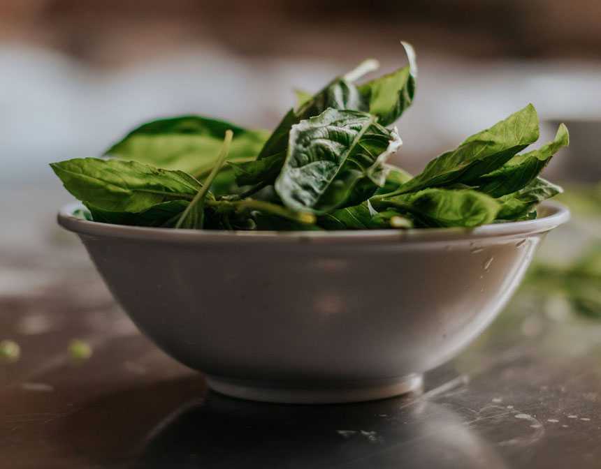 Green leaves in a white ceramic bowl