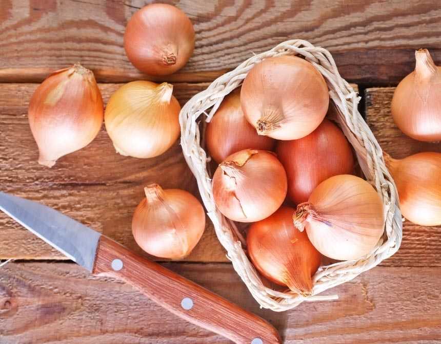 Onions and knife