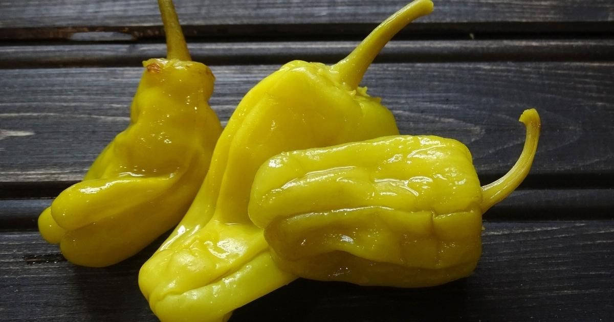 Pepperoncini Peppers