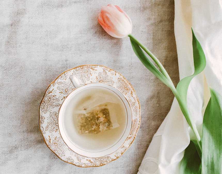 Pink petaled flowers near teacup