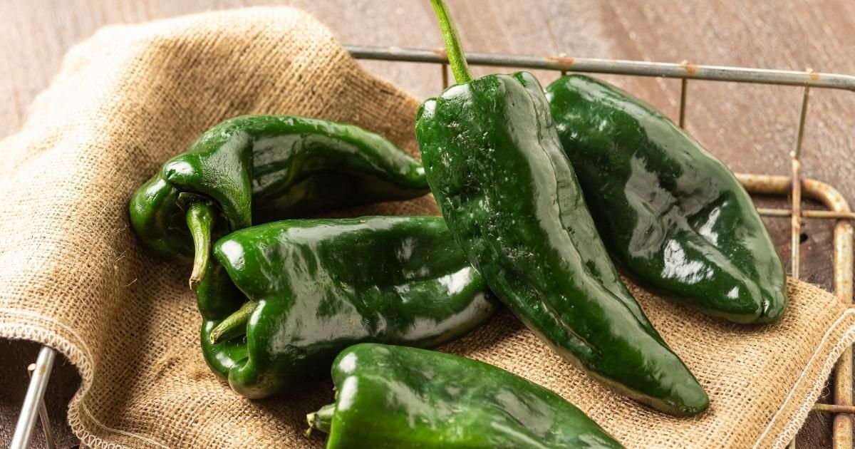 Poblano Peppers