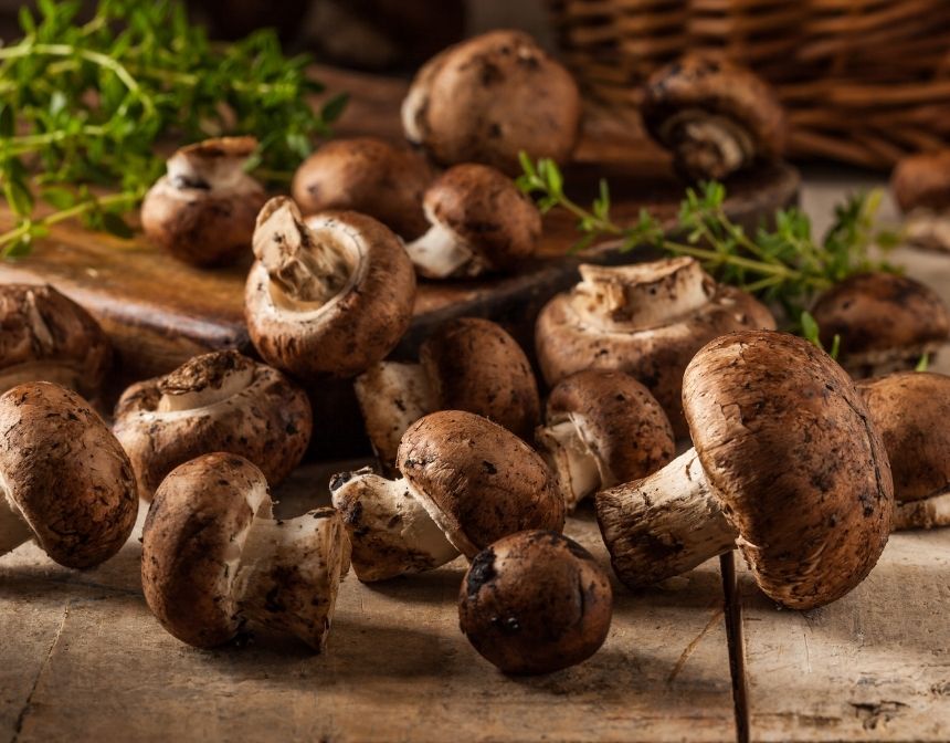 Portobello Mushrooms