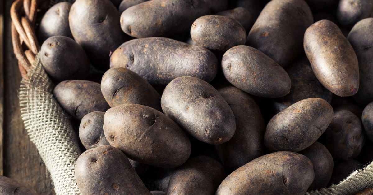 Purple Potatoes