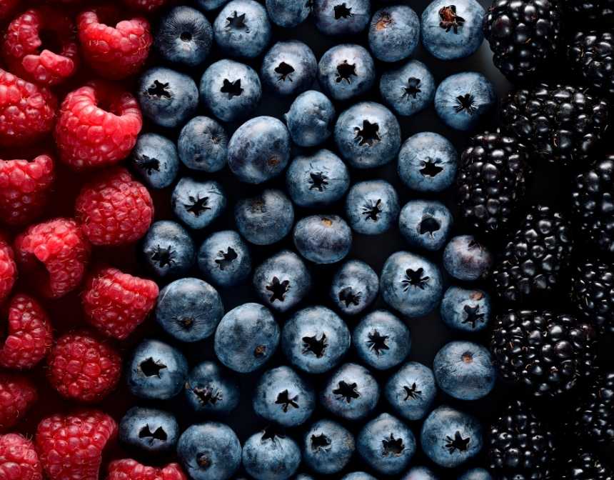 raspberry blueberry and blackberries