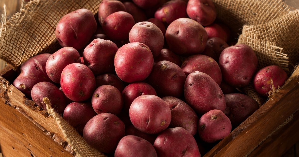 Red Potatoes