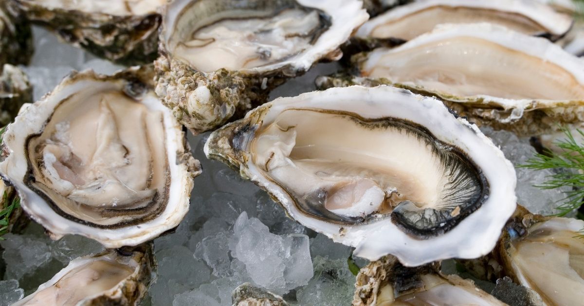 Shucked Oysters on Crushed Ice
