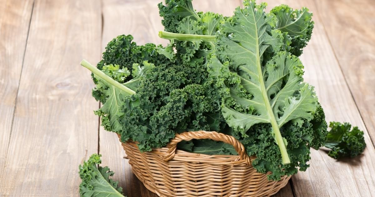 Superfood Kale