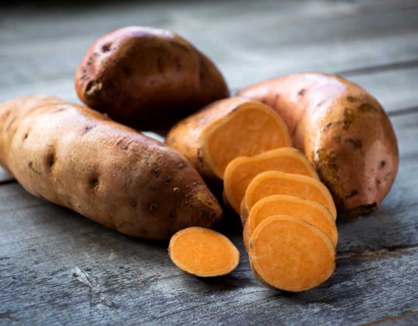 Sweet Potato