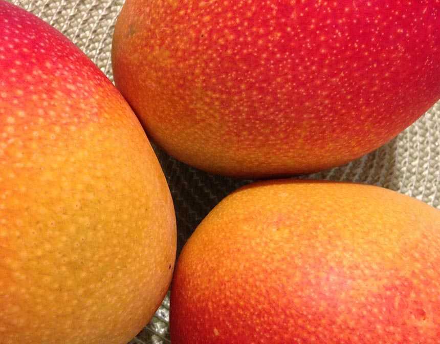 Three mango