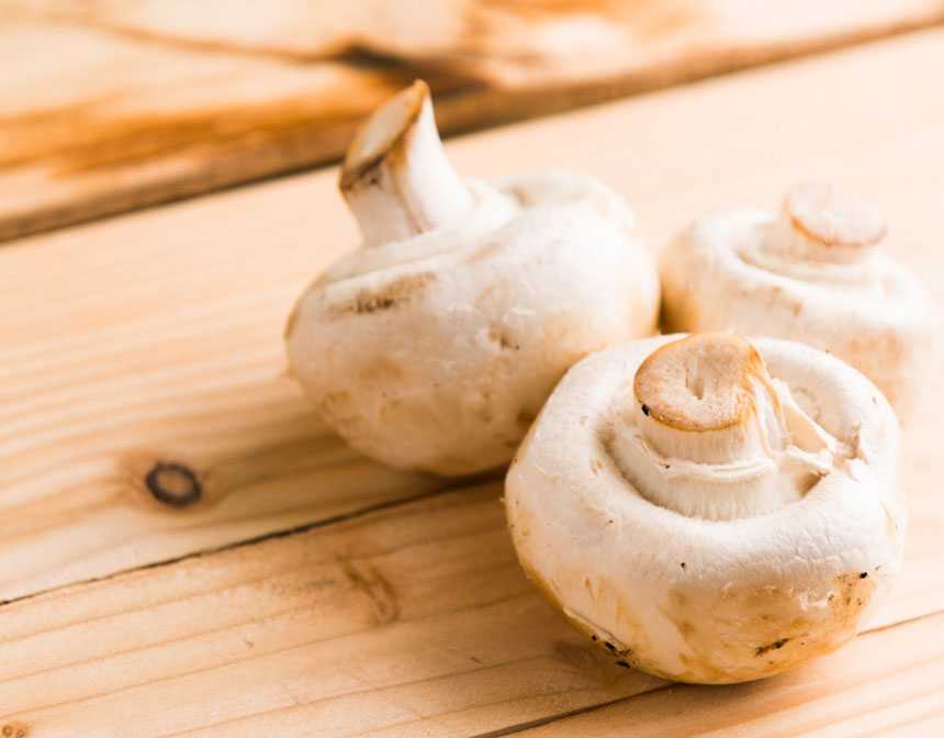 Three white mushrooms on a wooden table