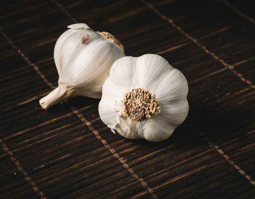 Two white garlics