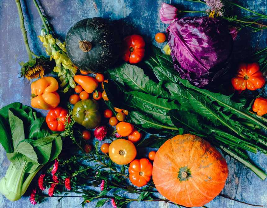 Variety of vegetables