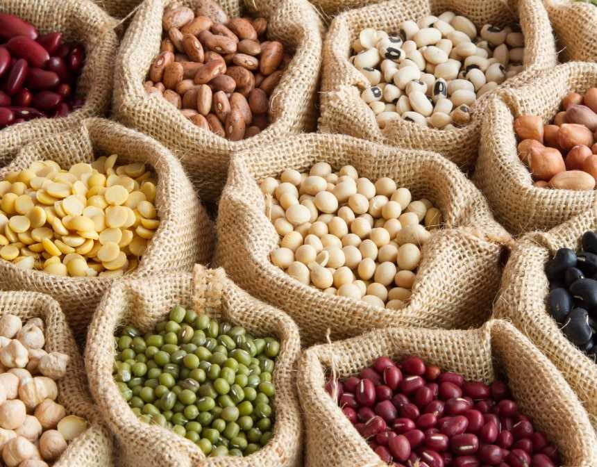 various legumes in bags