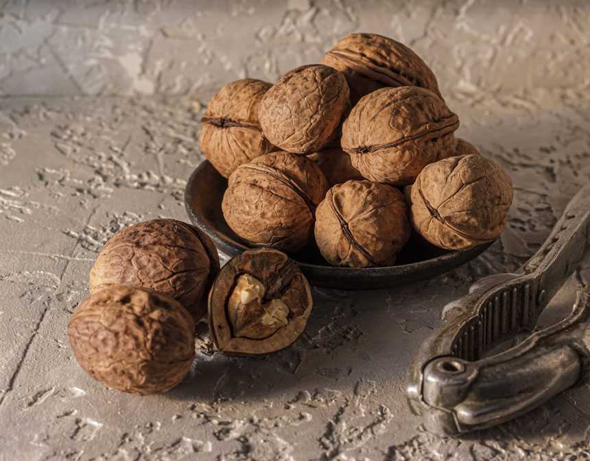 Walnuts near walnut cracker