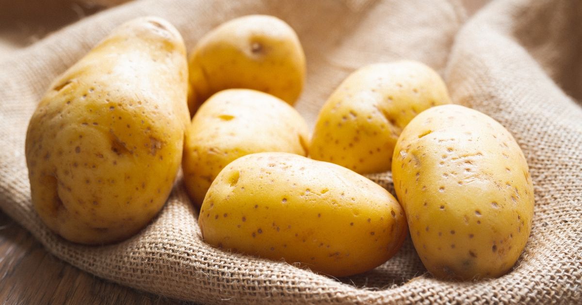 Yukon Gold Potatoes
