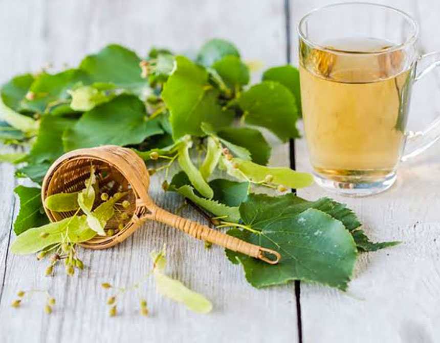 Doğanın Mucizesi Bitki Çayları