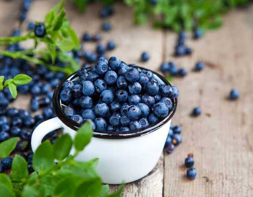 Anti Aging Fruits and Vegetables