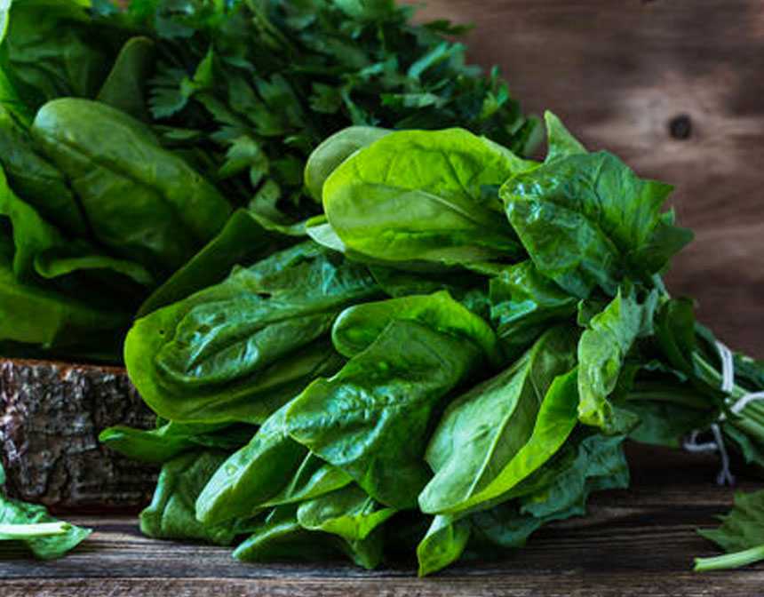 Anti Aging Fruits and Vegetables